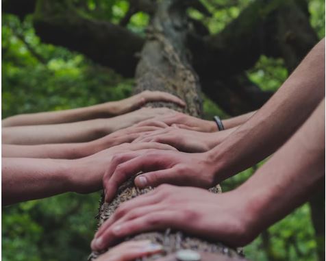 Hände auf Baum