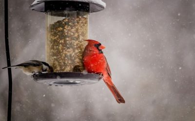 Gedankenaustausch im Februar