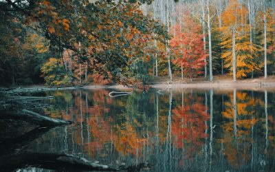 Stilles Gebet im Oktober