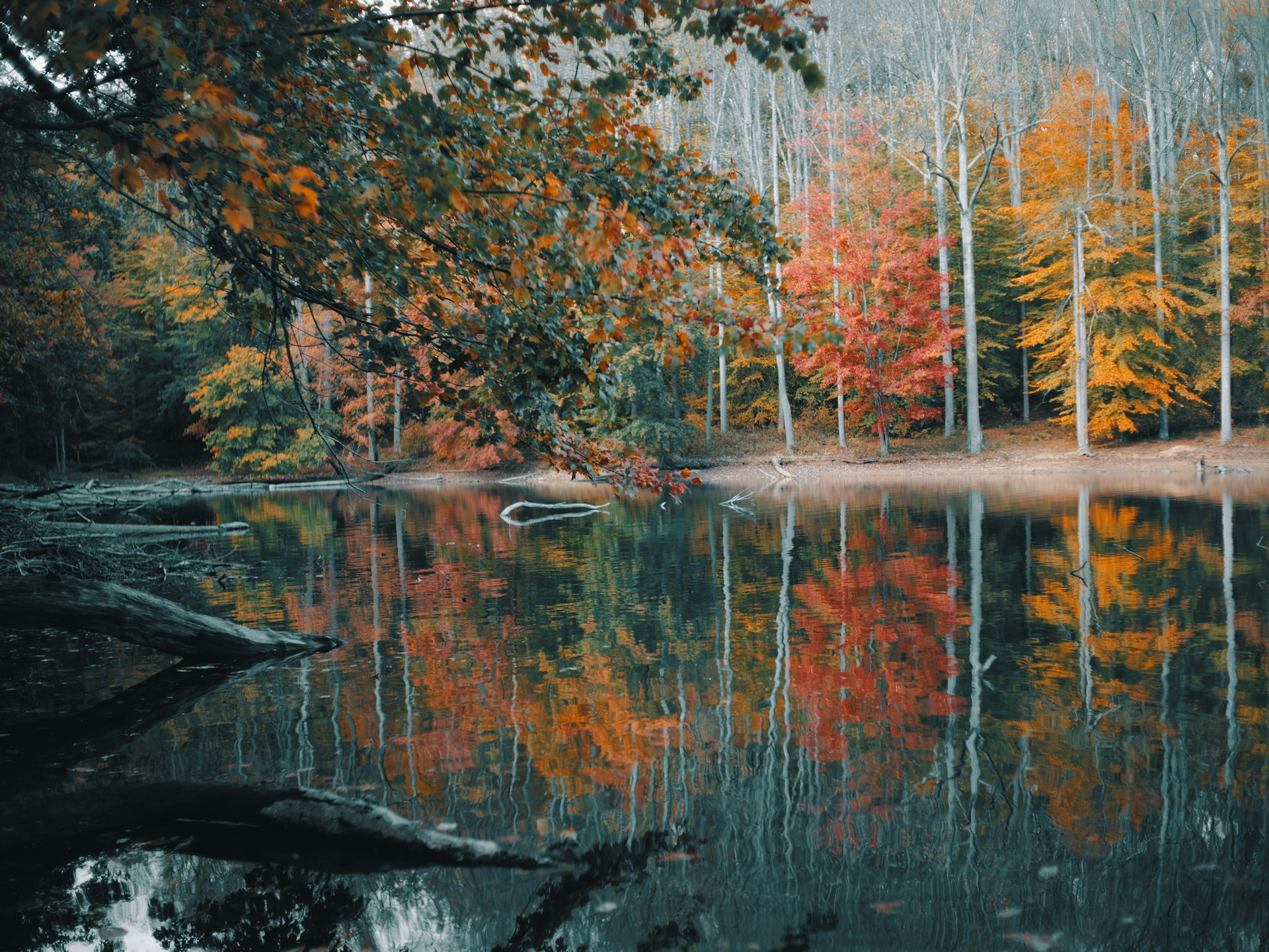 aaron-burden-bk15Sbb5YSo-unsplash