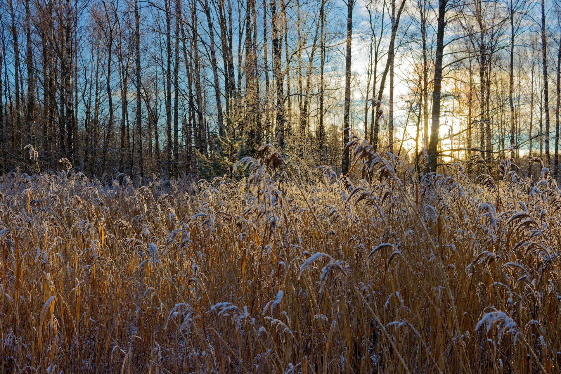 henry-schneider-PWNF-E9Axi8-unsplash